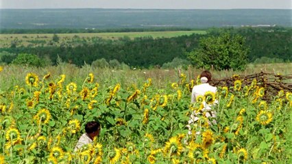 Тихий Дон. 3 cерия (2015) Драма, экранизация @ Русские сериалы