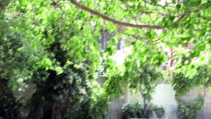 Apnay (Drama Serial) Episode 117 - Promo - 6 May ,2017