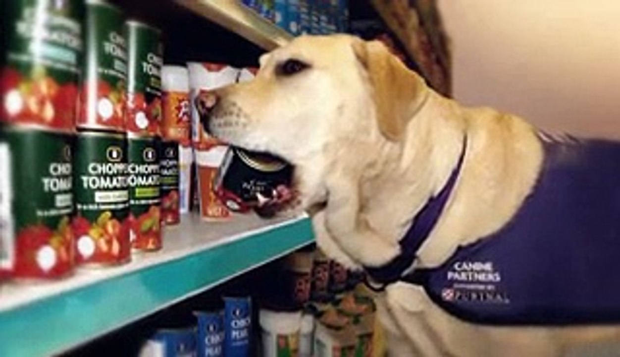 Secret Life of Dogs - Documentary Part 2_2,Watch Tv Series new S-E 2016