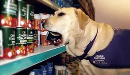 Secret Life of Dogs - Documentary Part 2_2,Watch Tv Series new S-E 2016