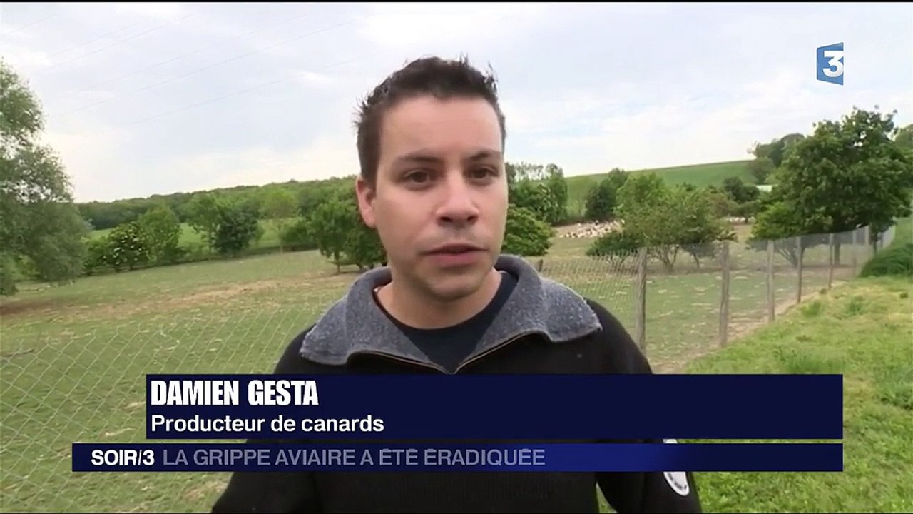 La grippe aviaire a été éradiquée