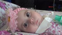 Manisa Zeynep Bebek Ilacına Kavuşacak-arşiv