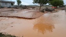 Şanlıurfa Hilvan'da, Yağmur ve Dolu Ekili Arazileri Vurdu