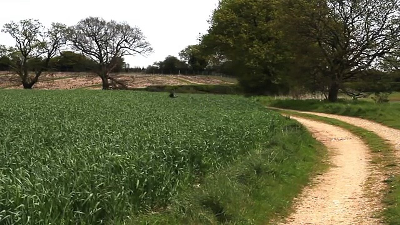 It just looks like a very high derby lawn What the boy gets back is really hilarious!