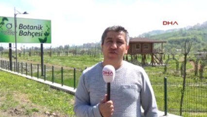 Ordu 15 Milyon TL Harcanan Botanik Parkı Şehir Hastanesi Için Sökülüyor