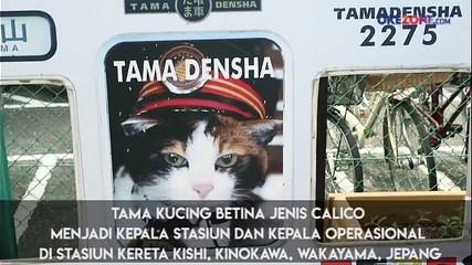 Kepala Stasiun Seorang Kucing Bernama Tama