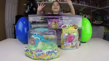 Little Live Pets Water Surprise Toys Giant Eggs Toy S