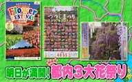 GW 都内３大花祭りツアー【５月ゴールデンウィーク】