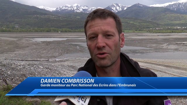 D!CI TV : observation des oiseaux migrateurs sur Serre Ponçon