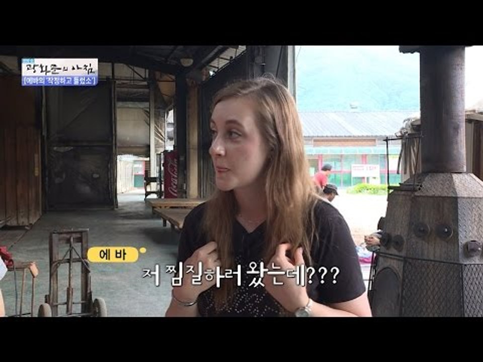 찜질은 무슨! 참나무를 옮겨라~ [광화문의 아침] 254회 20160616