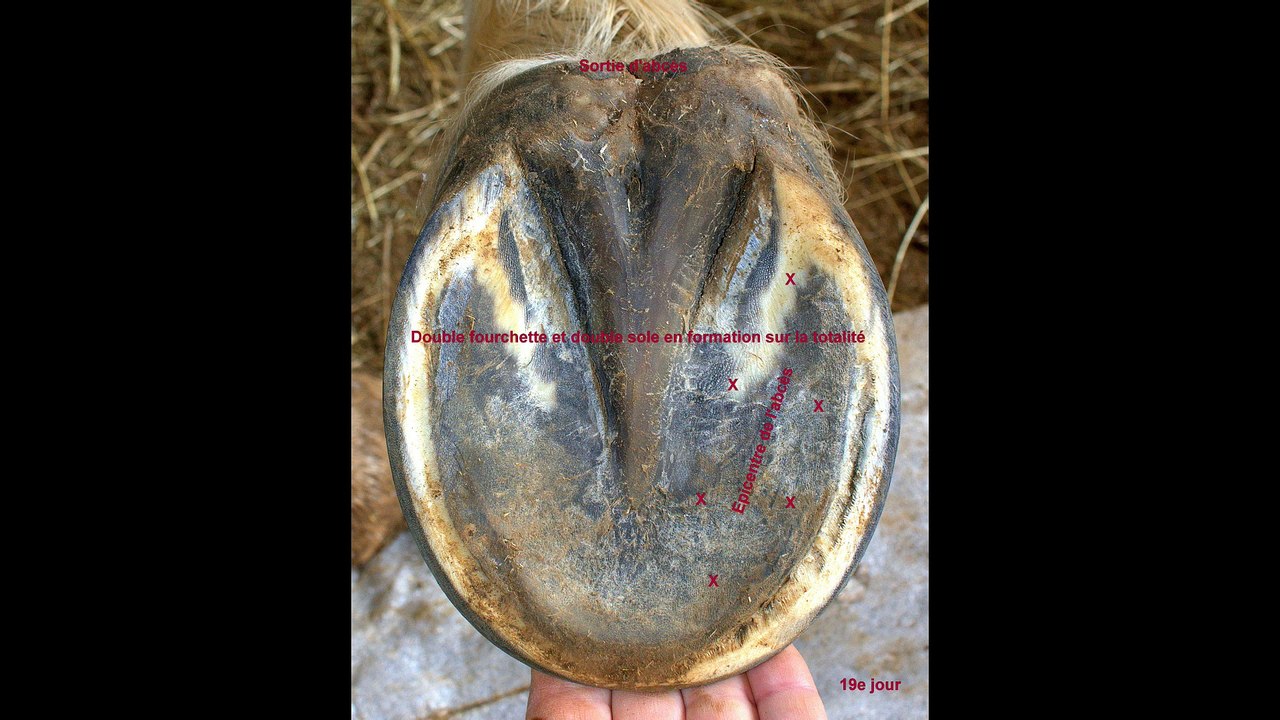 2016 ABCES SUBSOLAIRE JADE AD (pd11 mpeg-4 1920x1080 25p 13Mbps pal)