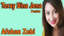 Afshan Zebi - Teray Bina Jena