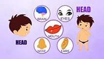 Head - Human Body Parts - Pre School Know Your Body - Animated Videos For Kids2017
