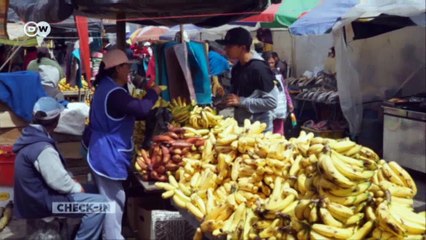Blogger Steve Hänisch explores Ecuador | DW English