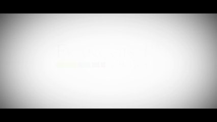 GROUPE FRANCOIS 1ER - AU COEUR DE LA CIGV - VIDEO INTERVIEW