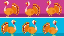 Gobble Gobble _Turkey Song _ Thanksgiving S