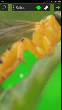 Tutorial Picsay Pro 3 2016 | How to BLUR ( Background ) with Picsay Pro For Android