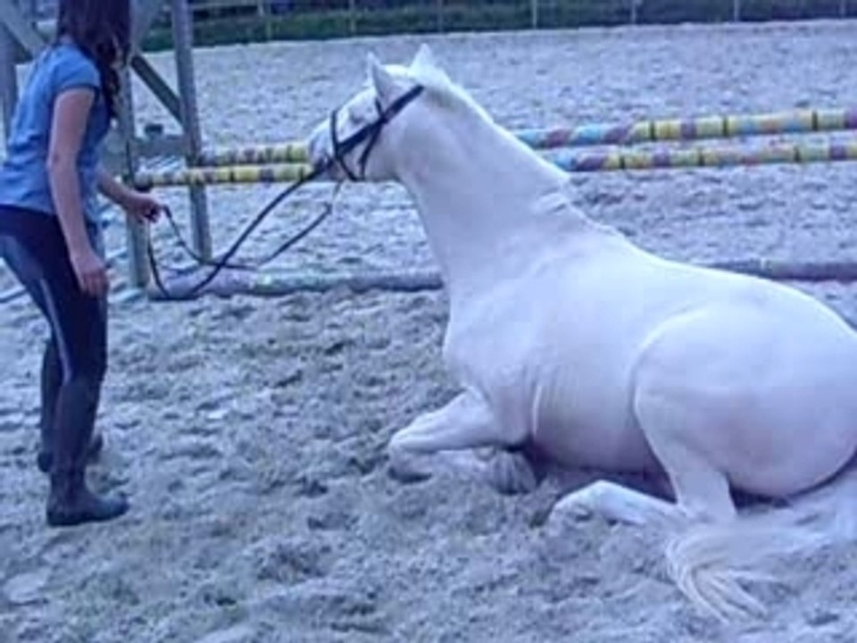 Photo du concour du 30.09.2007 063