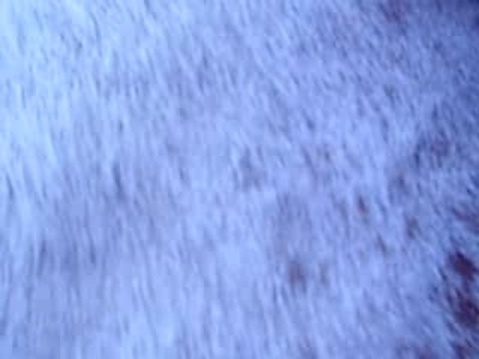 Photo du concour du 30.09.2007 062