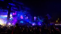 Dimitri Vegas & Like Mike - Tomorrowland 2016_4