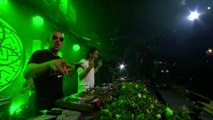 Dimitri Vegas & Like Mike - Tomorrowland 2016_31