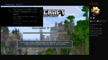 Nous somme sur minecraft en Mode RP