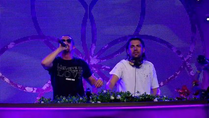 Dimitri Vegas & Like Mike - Tomorrowland 2016_46