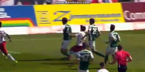 Wanderson Goal - Mattersburg 0-1 Salzburg 06.05.2017