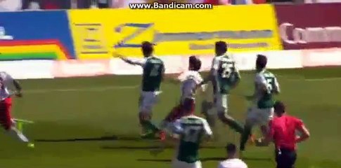 Wanderson  Goal  HD  0-1   Mattersburg   VS  Salzburg  06-05-2017