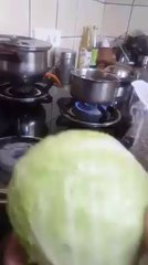 Plastic Cabbage Now Available In Vegetable Markets