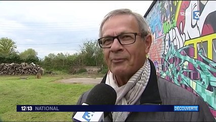 Allier : du street-art en pleine campagne