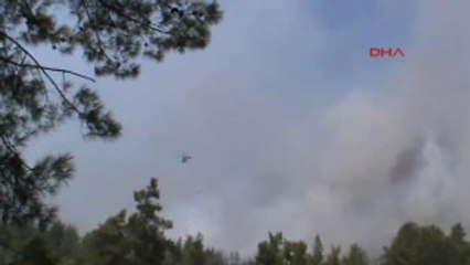 Muğla Yıldırımdan Orman Yangını Çıktı