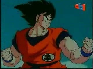 Sangoku contre Végéta