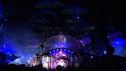 Dimitri Vegas & Like Mike - Tomorrowland 2016_90