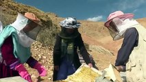 Queen bees_ how honey co-ops help Afghan women take control