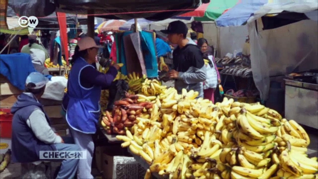 Blogger steve hänisch erkundet ecuador | dw deutsch