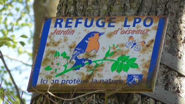 La vallée du Goëlo Ploufragan 21 Avril 2017