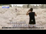 바다를 덮은 거대 마시멜로? [광화문의 아침] 251회 20160613