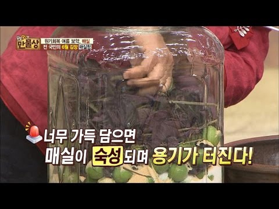 살림 9단의 매실청 담그는 과정 대공개! [만물상 144회] 20160612