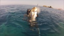 Spearfishing - Chasse sous marine en Corse - Marc Breysse - CORSE - Video Award 2016 (720p_30fps_H264-192kbit_AAC)
