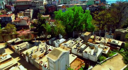 Aftershock Trailer 🎬