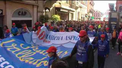 Marchan en Valladolid por las personas con discapacidad intelectual