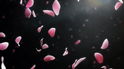 刀剣乱舞 Katsugeki/Touken Ranbu PV -  H