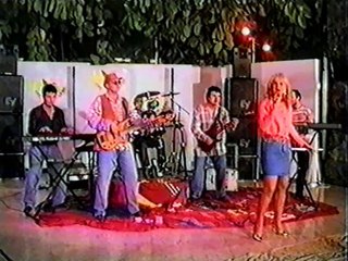 Sok od sljiva - Da sam musko