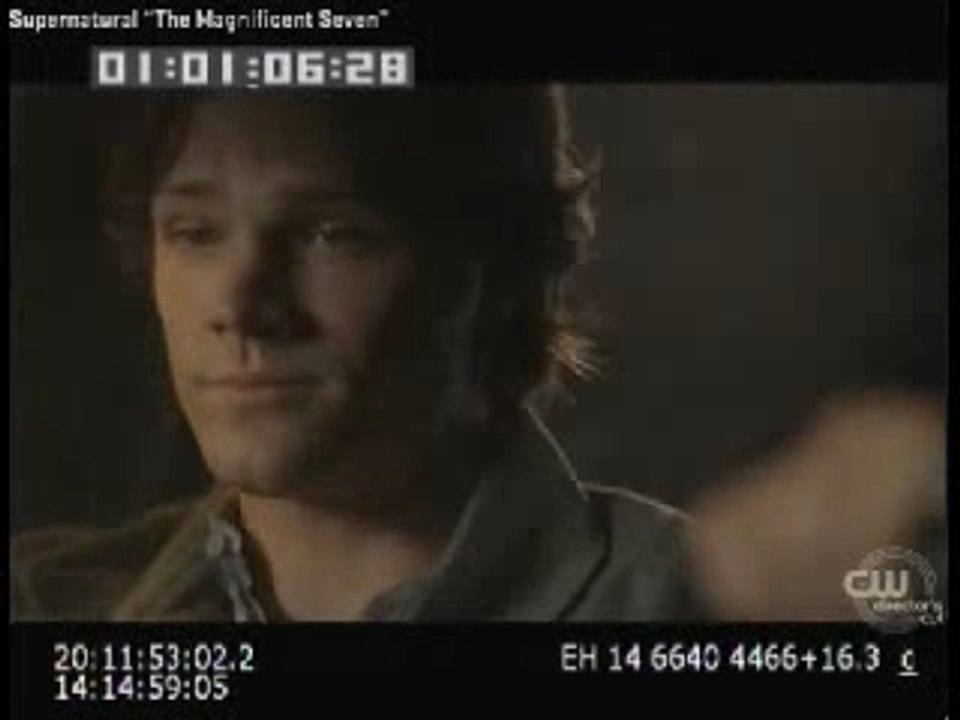 SN 301 Director's Cut