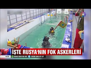 İşte Rusya'nın Fok askerleri Zafer günü için eğitiliyorlar