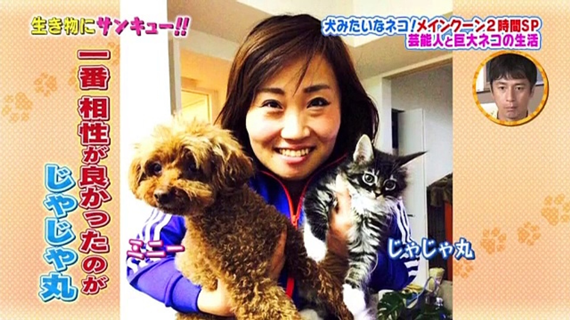 トコトン掘り下げ隊 生き物にサンキュー 2 Part 1 2 Video Dailymotion