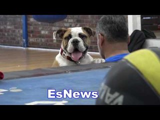 BRANDON RIOS KILLER ABS WORKOUT EsNews Boxing