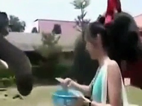 American army funny clips all world