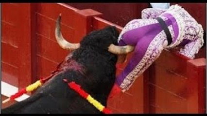 Best funny videos - Most awesome bullfighting festival - funny crazy bull fails